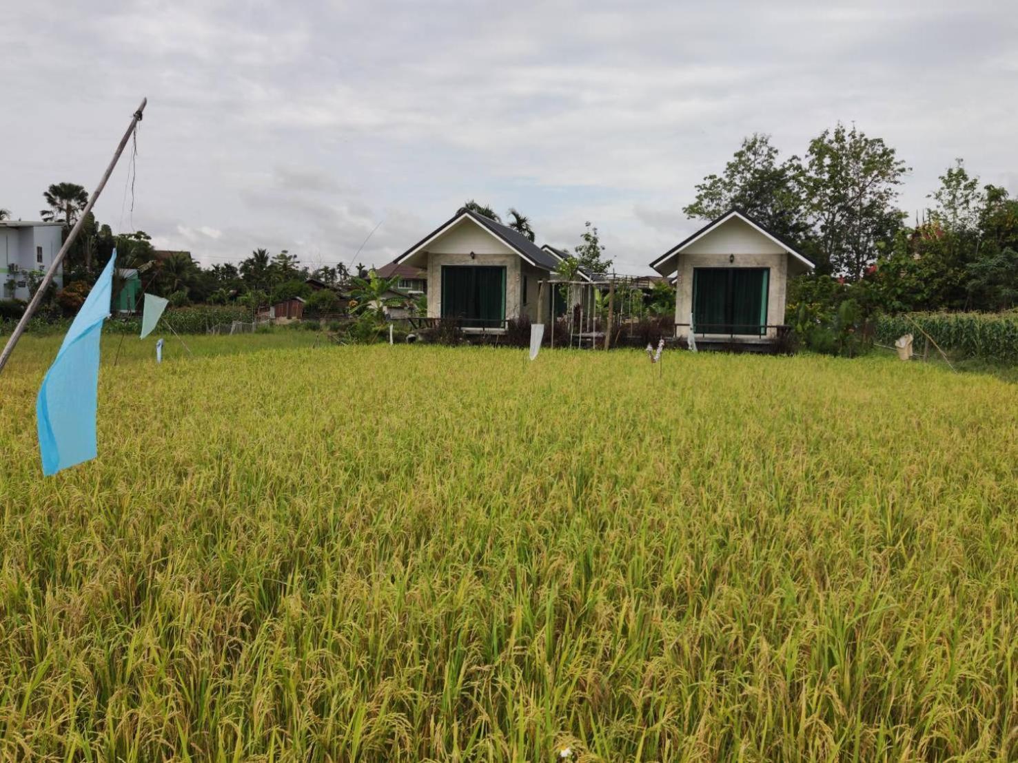 Vieng Pua Homestays Nan Zewnętrze zdjęcie